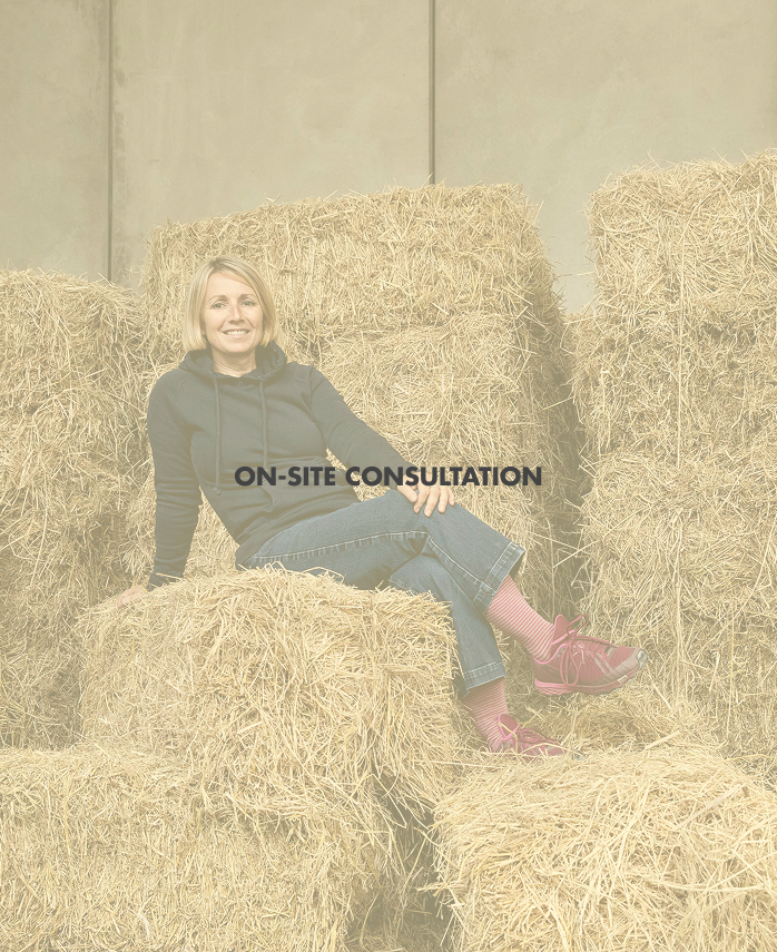 On-site Consultation